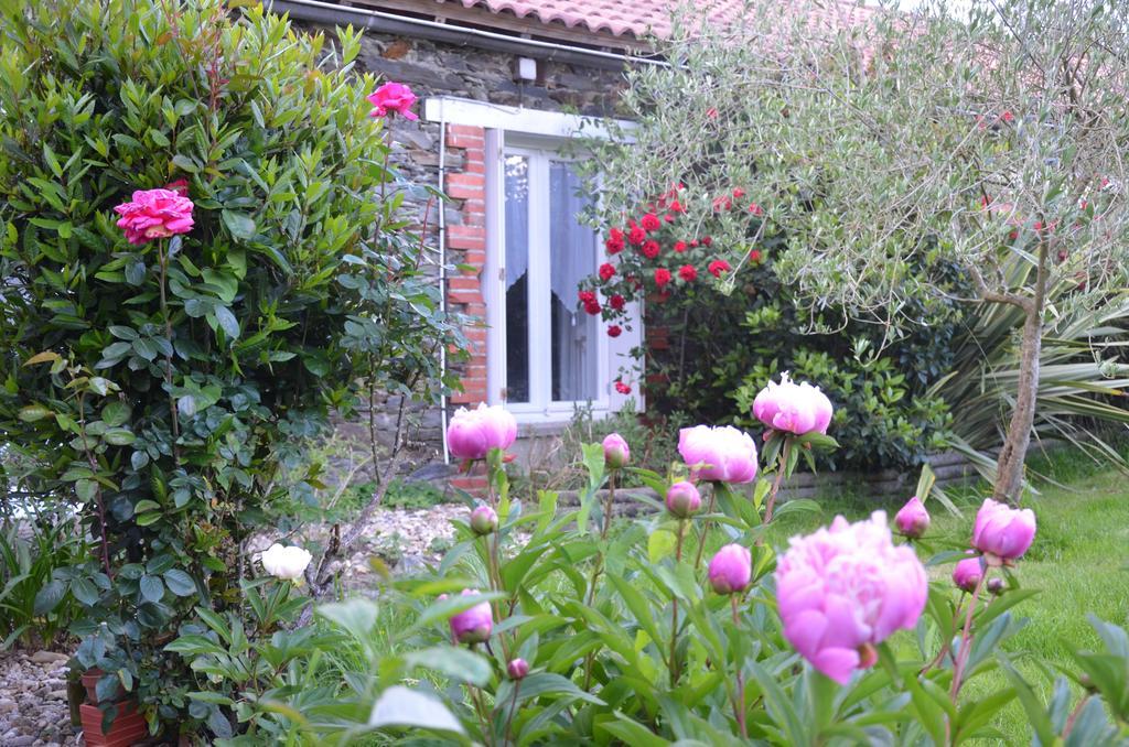 L'Arbre D'Alais Bed & Breakfast Saint-Fulgent Exterior photo